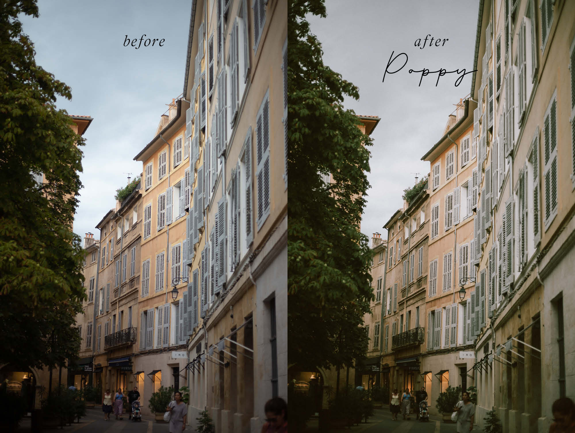 Lightroom Presets Bundle "Youdiful Wild Breeze" Mobile + Desktop