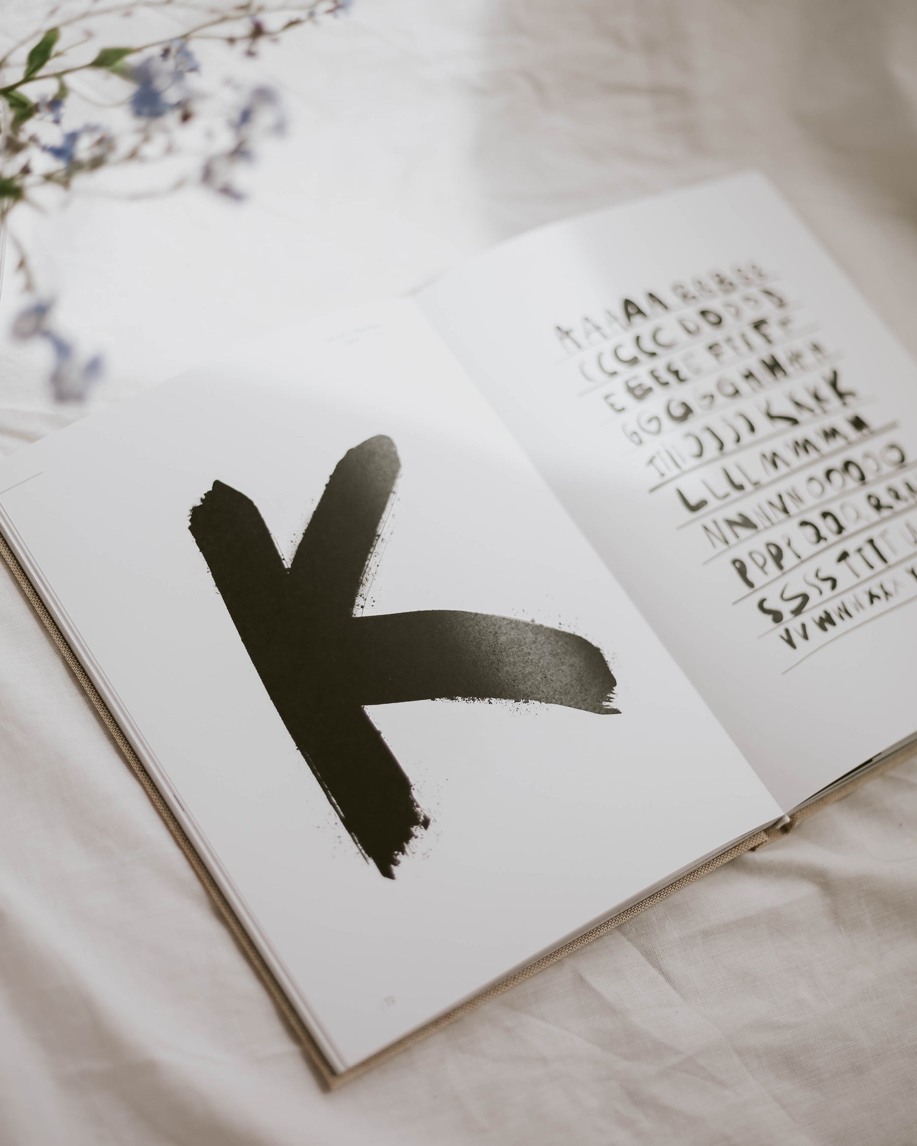 Coffee Table book "the type book"