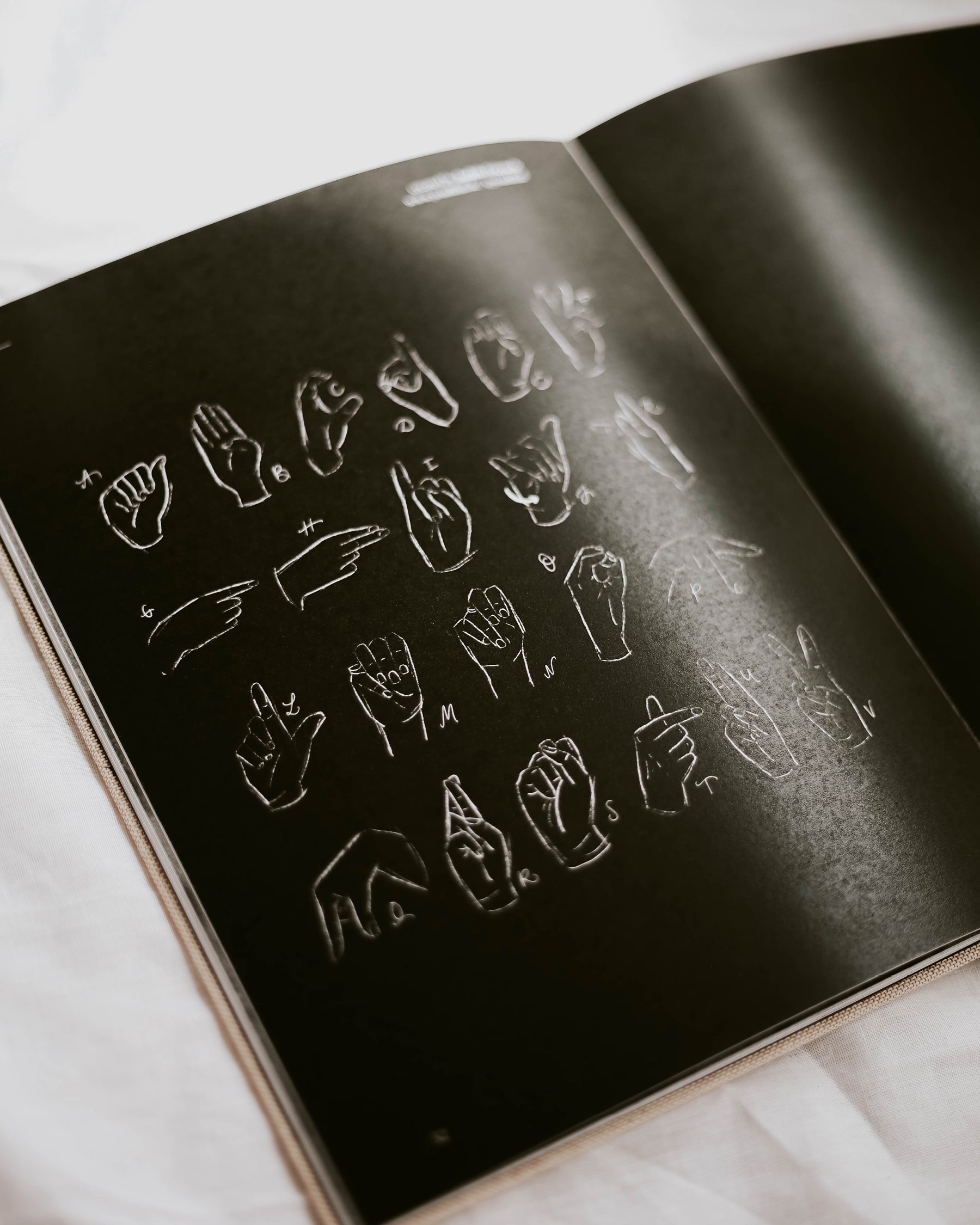 Coffee Table book "the type book"