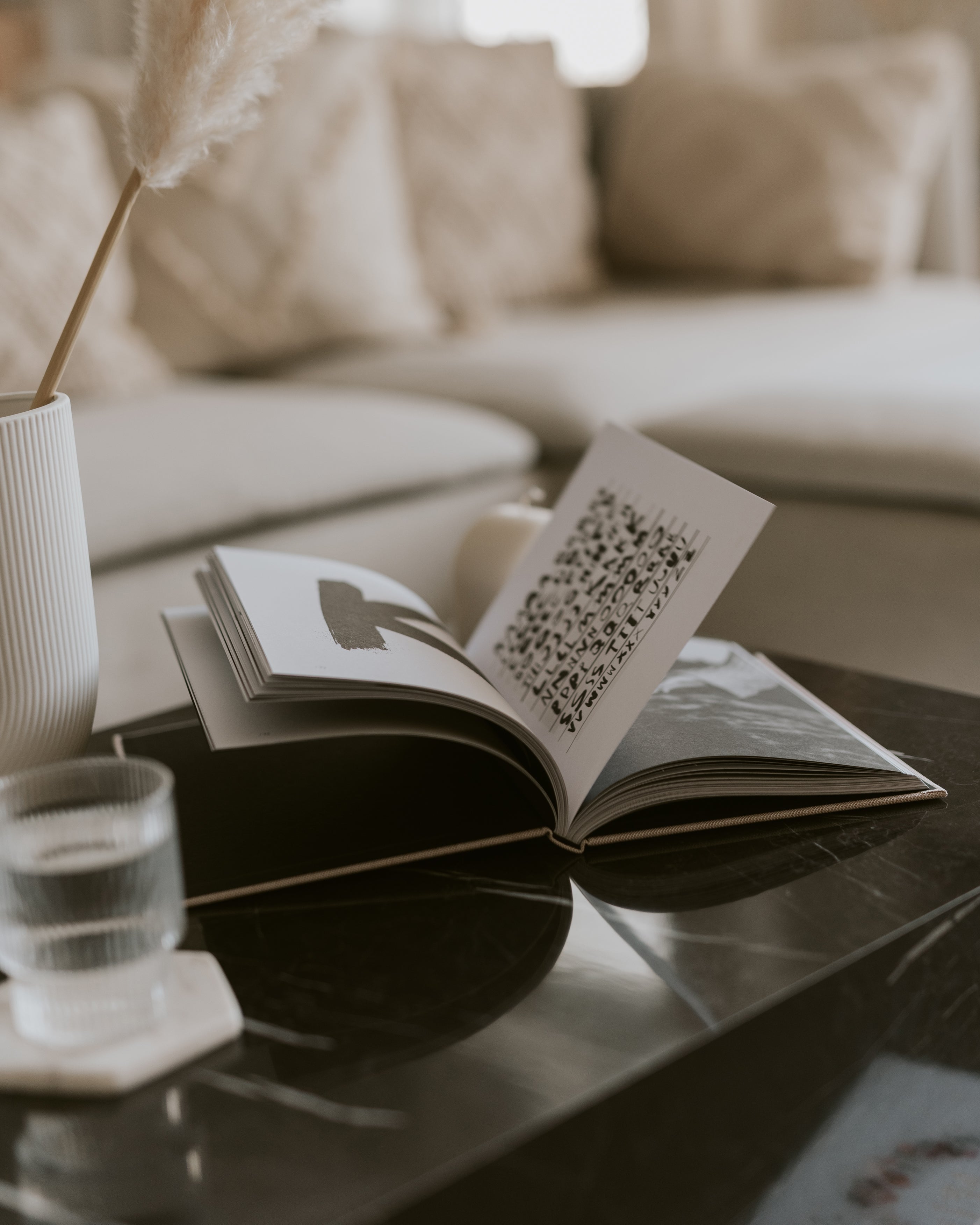 Coffee Table book "the type book"