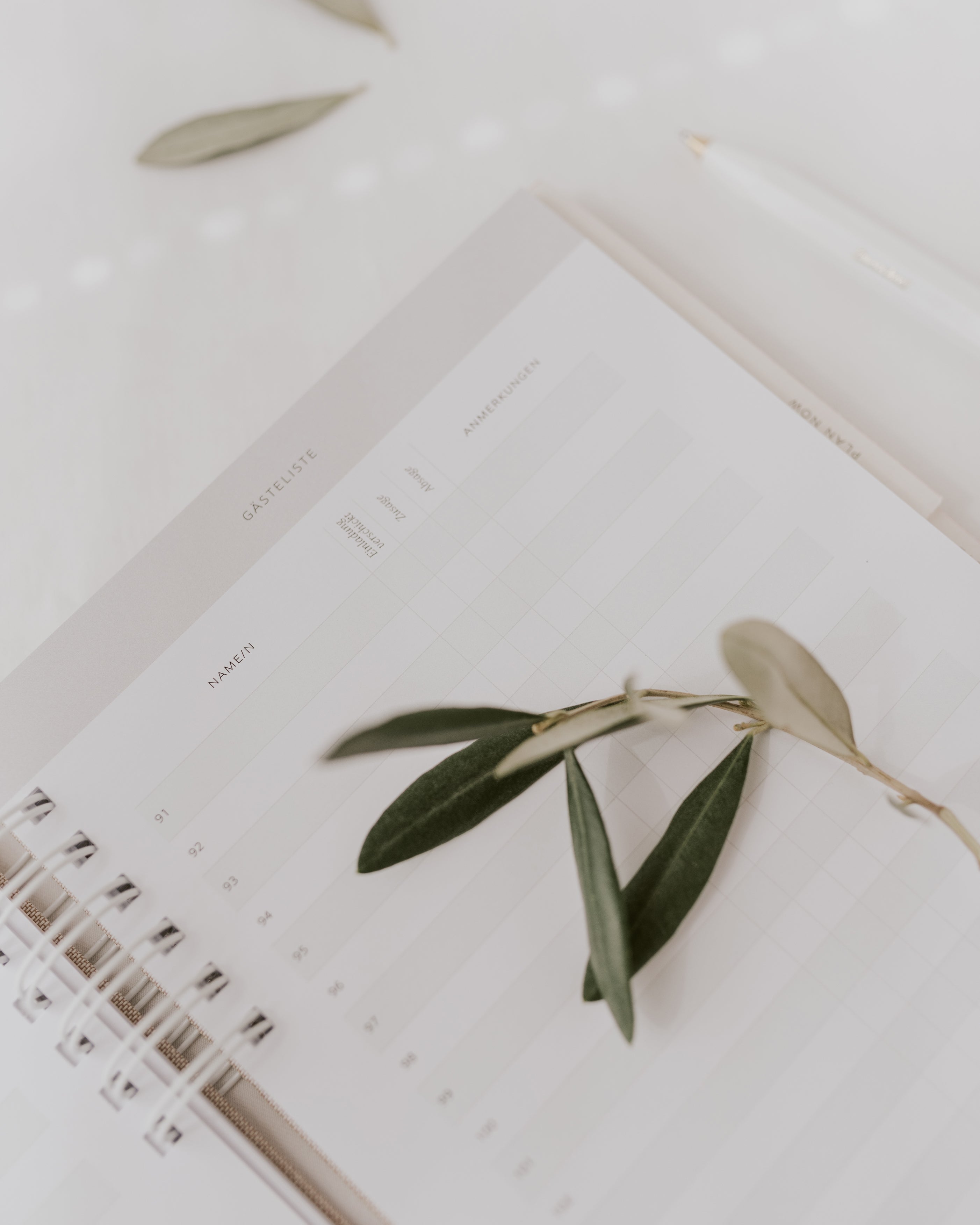 Wedding Planner "Celebrate the love"