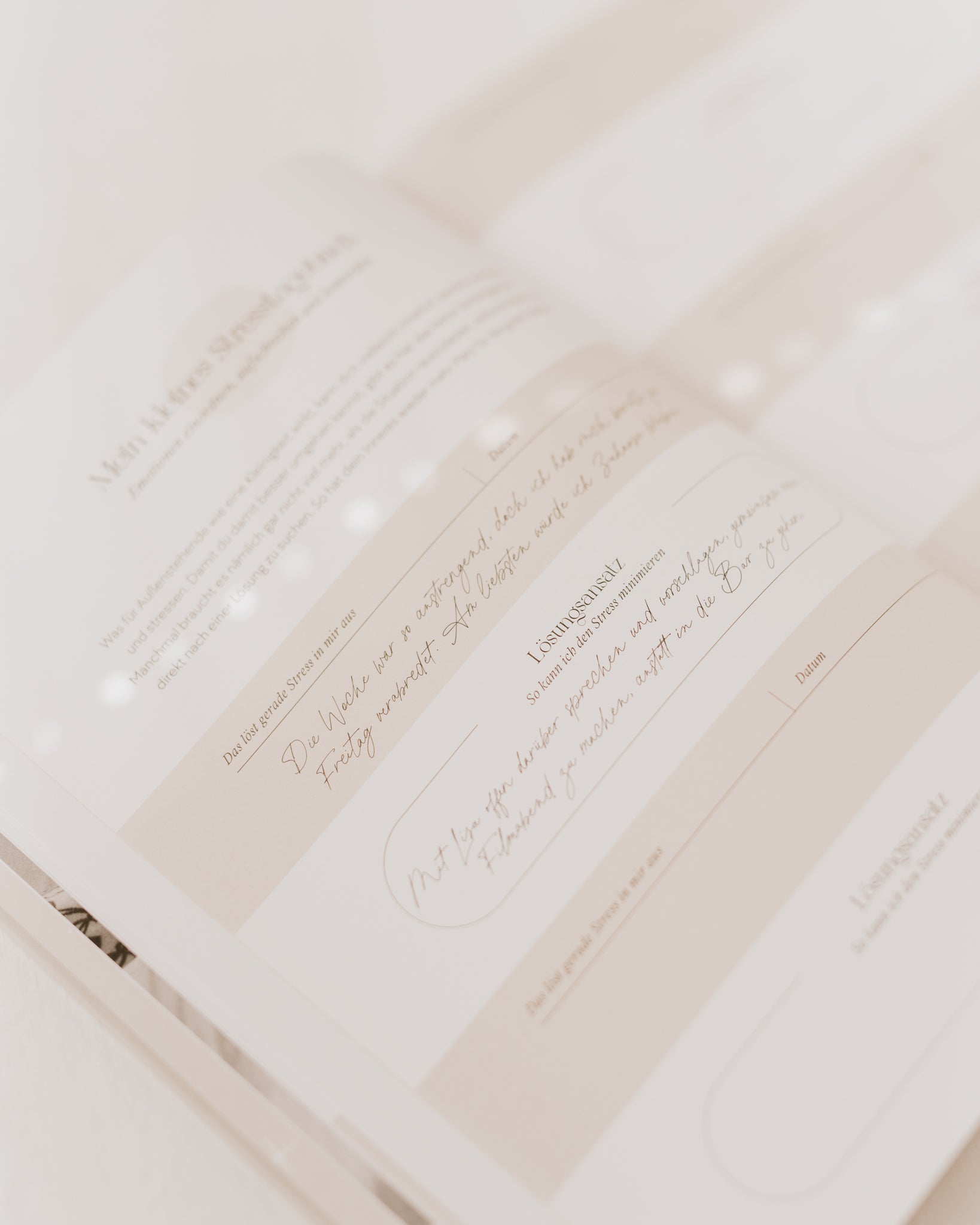 Achtsamkeitskalender 2023 "Dream"